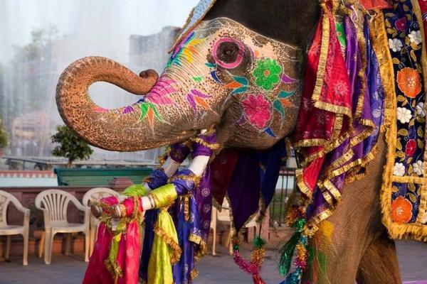 تور بمبئی: زیباترین جشنواره های هند کدامند؟