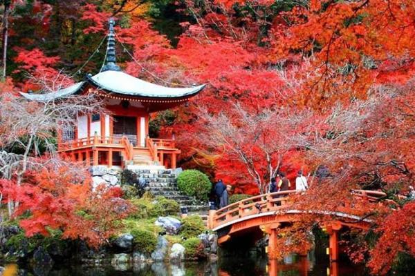 ژاپن از اوایل پاییز مرزهای خود را به روی مسافران بین المللی باز می کند